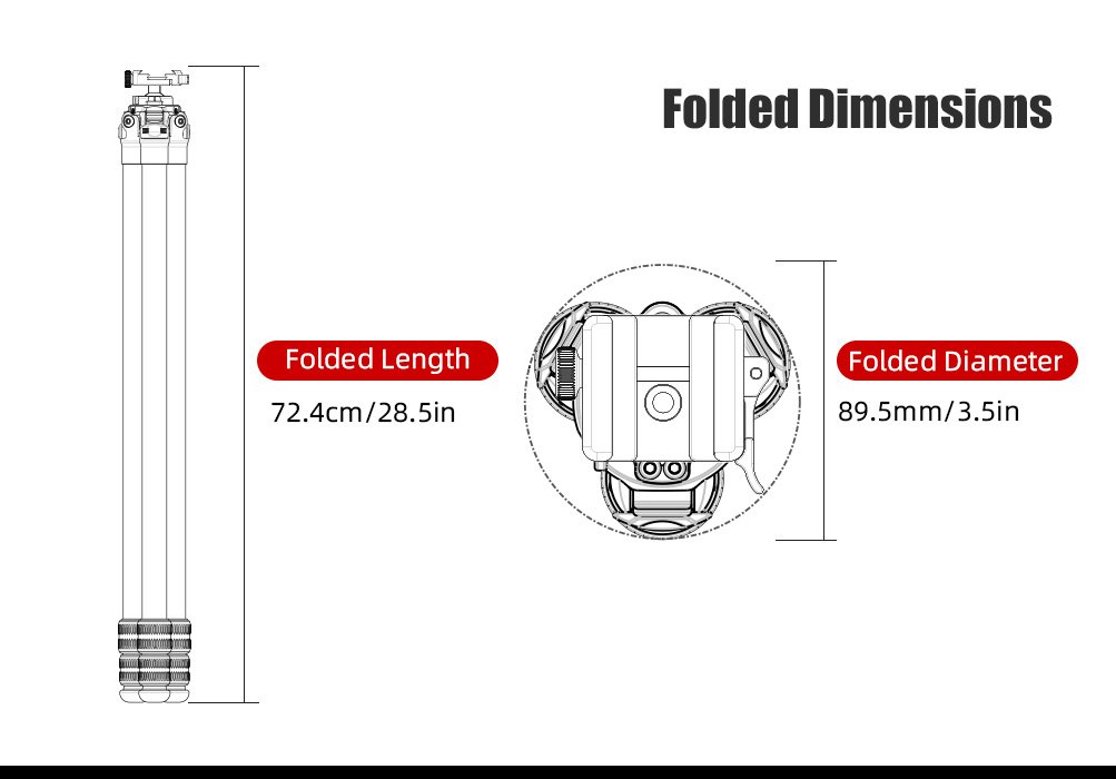 SUNWAYFOTO T2830CSL-D Carbon Fiber Tripod with Inverted Ball Head