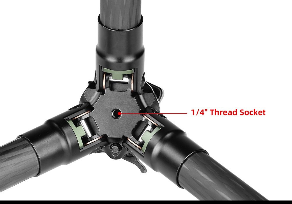 SUNWAYFOTO T2830CSL-D Carbon Fiber Tripod with Inverted Ball Head