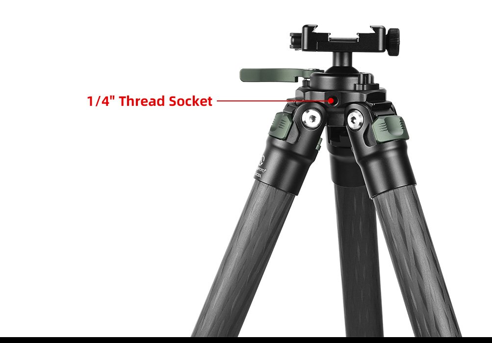 SUNWAYFOTO T2830CSL-D Carbon Fiber Tripod with Inverted Ball Head