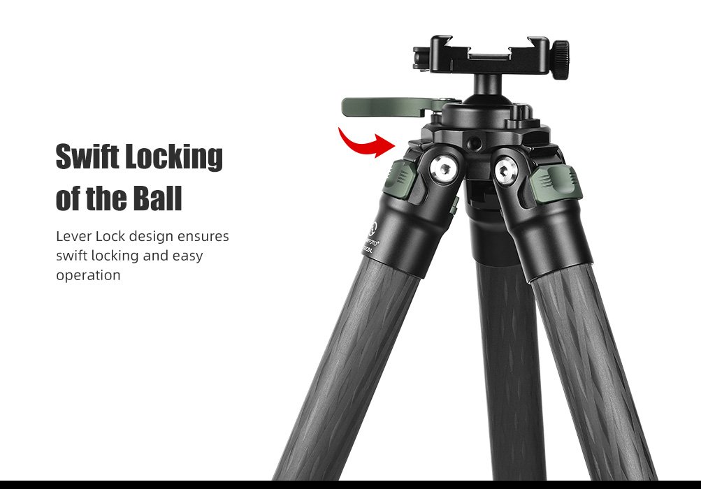 SUNWAYFOTO T2830CSL-D Carbon Fiber Tripod with Inverted Ball Head