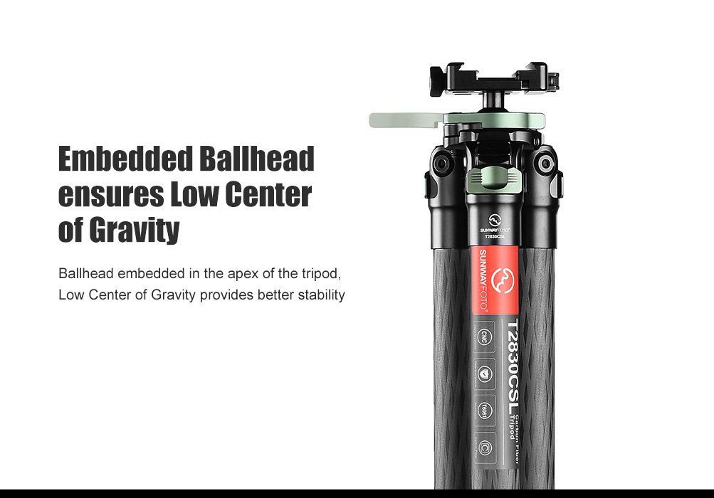 SUNWAYFOTO T2830CSL-D Carbon Fiber Tripod with Inverted Ball Head