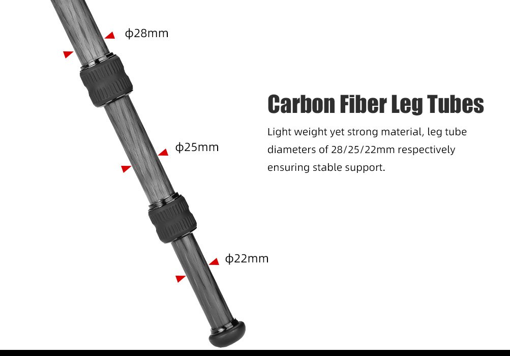 SUNWAYFOTO T2830CSL-D Carbon Fiber Tripod with Inverted Ball Head