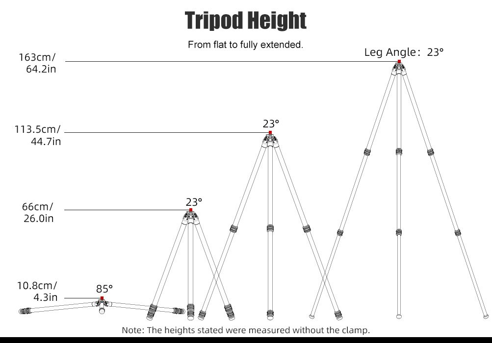 SUNWAYFOTO T2830CSL-D Carbon Fiber Tripod with Inverted Ball Head