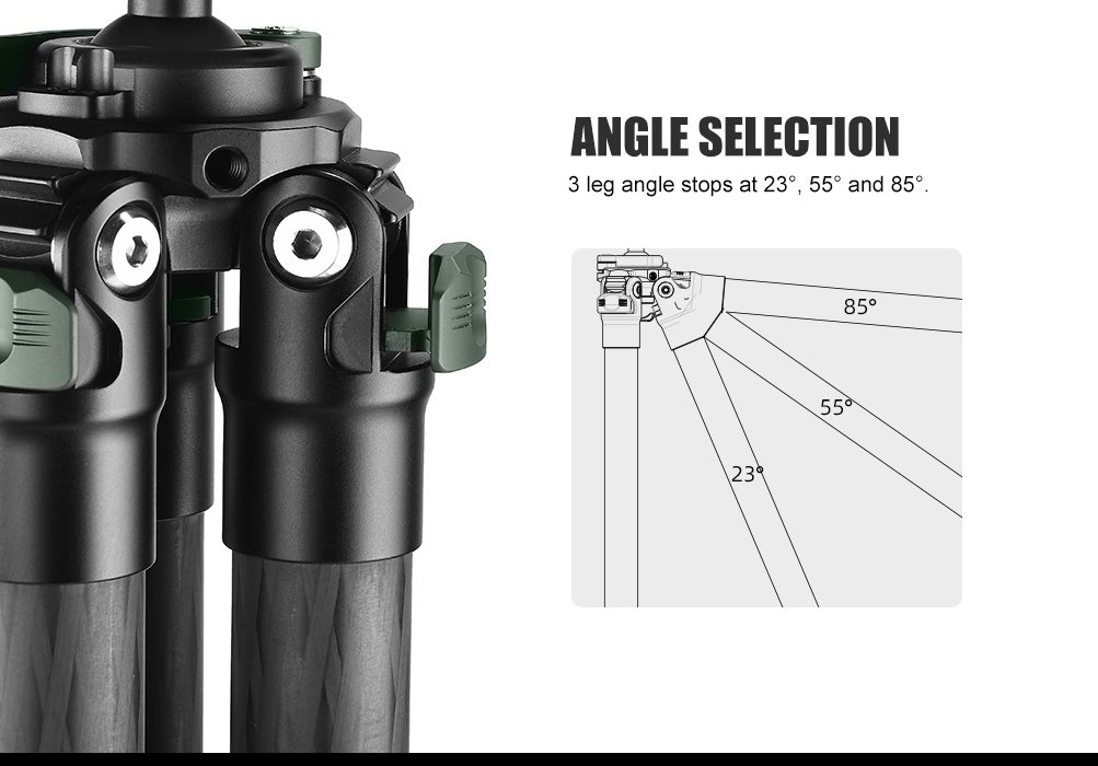 SUNWAYFOTO T2830CSL-D Carbon Fiber Tripod with Inverted Ball Head