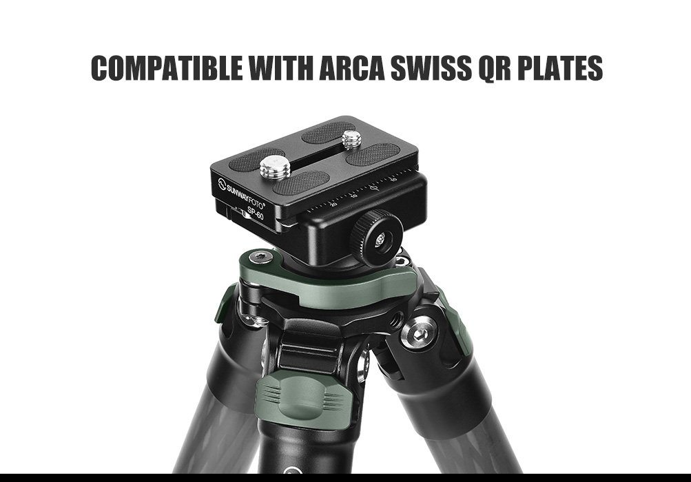 SUNWAYFOTO T2830CSL-D Carbon Fiber Tripod with Inverted Ball Head