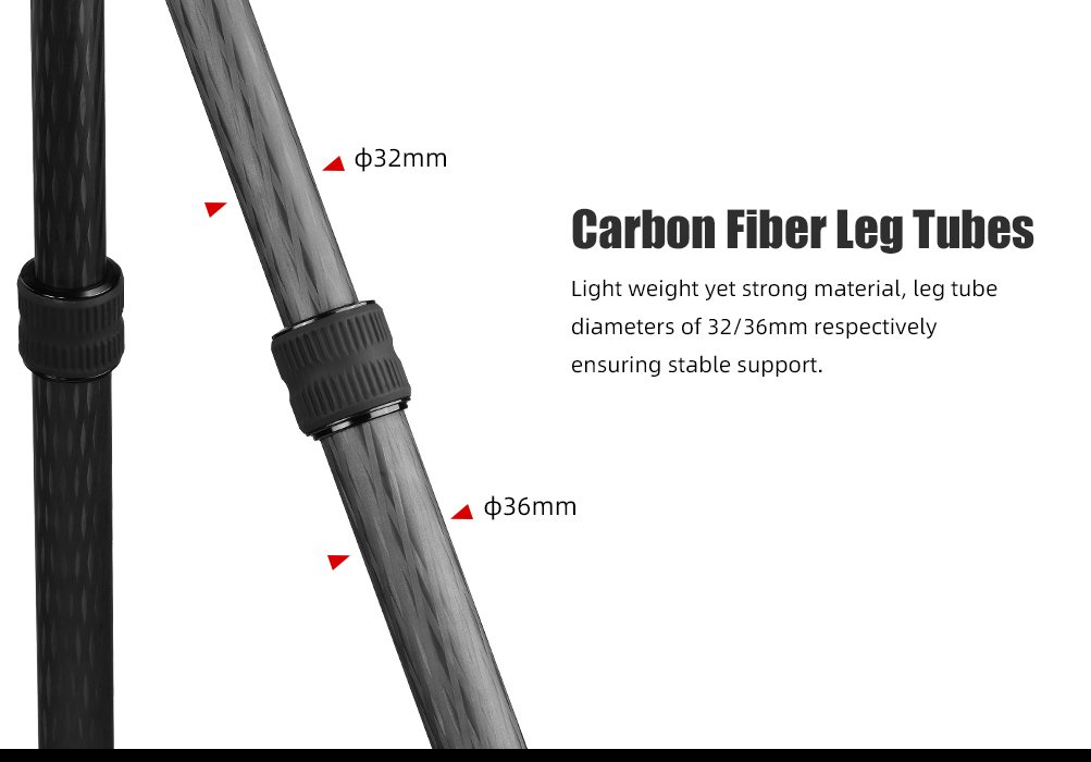 SUNWAYFOTO T3620CSLI-D Tall Inverted Leg Series Carbon Fiber Tripod with Arca Ballhead