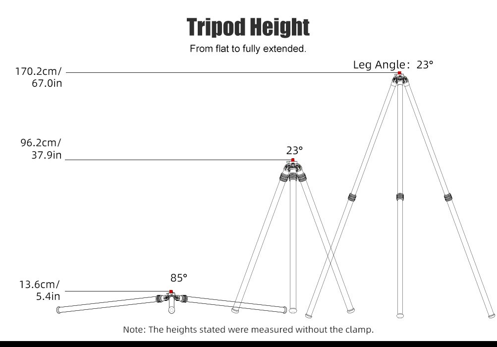 SUNWAYFOTO T3620CSLI-D Tall Inverted Leg Series Carbon Fiber Tripod with Arca Ballhead