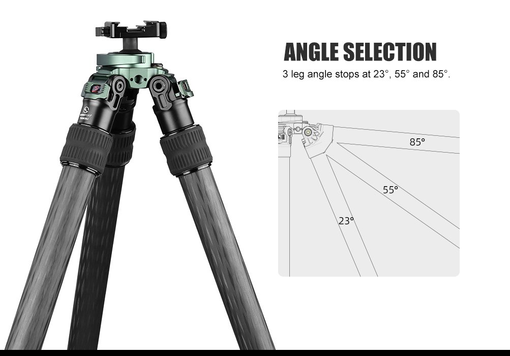 SUNWAYFOTO T3620CSLI-D Tall Inverted Leg Series Carbon Fiber Tripod with Arca Ballhead
