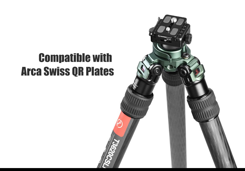 SUNWAYFOTO T3620CSLI-D Tall Inverted Leg Series Carbon Fiber Tripod with Arca Ballhead