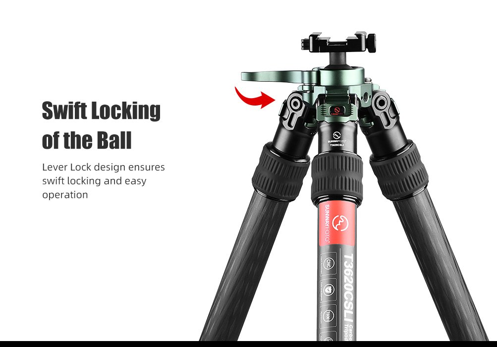 SUNWAYFOTO T3620CSLI-D Tall Inverted Leg Series Carbon Fiber Tripod with Arca Ballhead