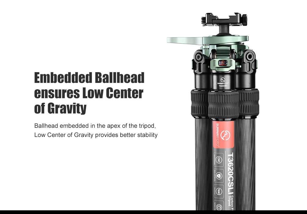 SUNWAYFOTO T3620CSLI-D Tall Inverted Leg Series Carbon Fiber Tripod with Arca Ballhead