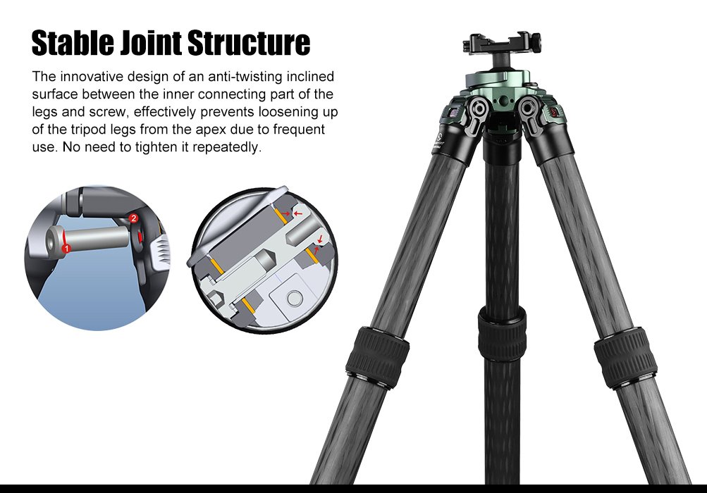 SUNWAYFOTO T3620CSLI-D Tall Inverted Leg Series Carbon Fiber Tripod with Arca Ballhead