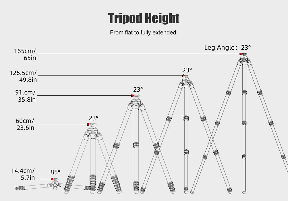 SUNWAYFOTO T3640CS-D Tripod Carbon Fiber