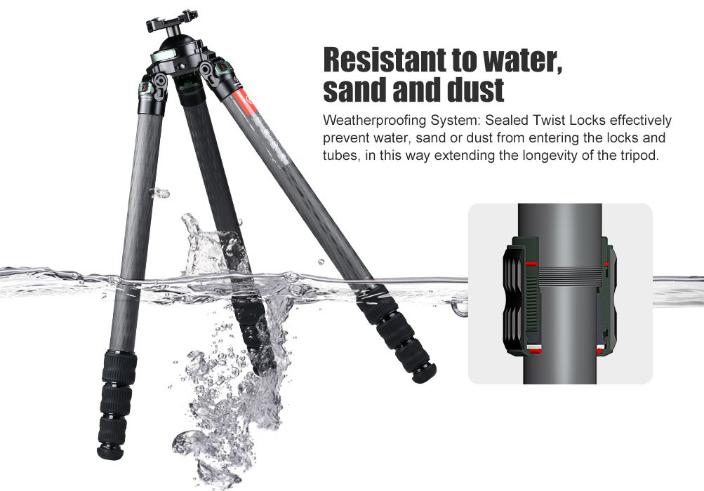 SUNWAYFOTO T3640CS-D Tripod Carbon Fiber