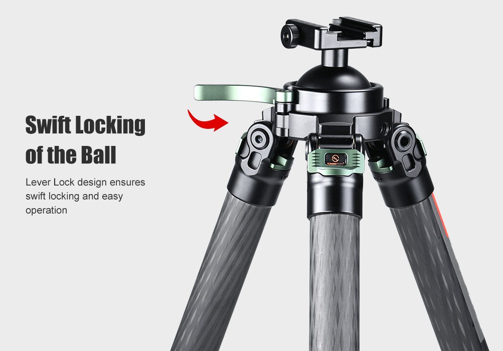 SUNWAYFOTO T3640CS-D Tripod Carbon Fiber
