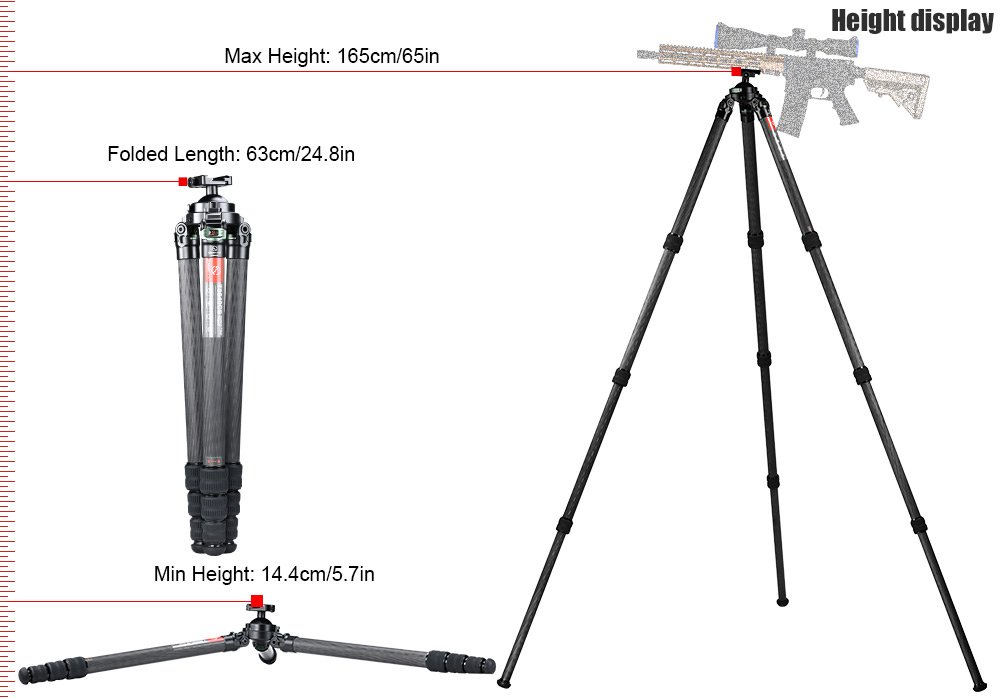 SUNWAYFOTO T3640CS-D Tripod Carbon Fiber