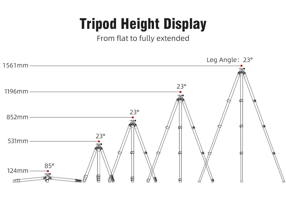 SUNWAYFOTO TL3240CS-D Carbon Fiber Tripod